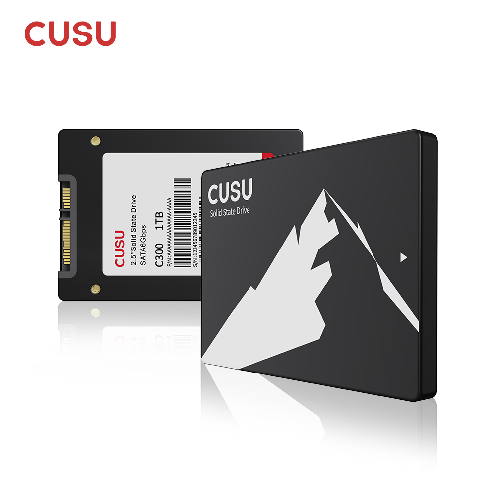 CUSU SSD 1TB 512GB 256GB 128GB - đánh giá và giá Ssd 500Gb