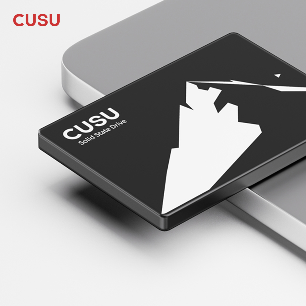CUSU SSD 1TB 512GB 256GB 128GB - đánh giá và giá Ssd 500Gb
